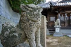 DSC07970