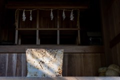 DSC08267