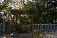 DSC08265