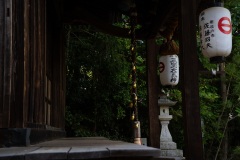 DSC04585