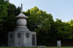 DSC04601