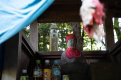 DSC04647
