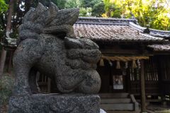 DSC00585