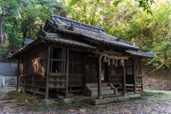 DSC00587