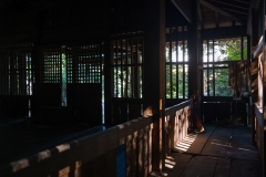 DSC00550