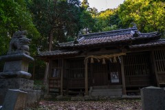 DSC00534