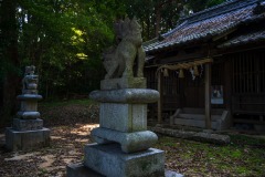 DSC00541