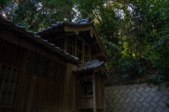 DSC00542