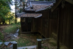 DSC00546