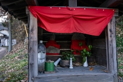 DSC06703