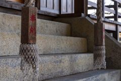 DSC07711