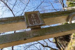 DSC09706