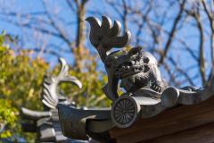 DSC09793