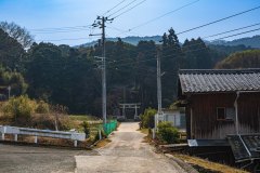 DSC00595
