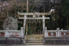 DSC00606