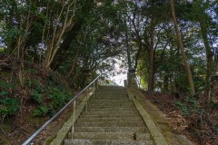 DSC00610