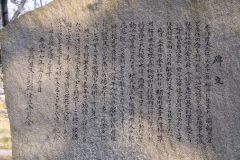 DSC03791