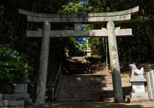 SBJ00451