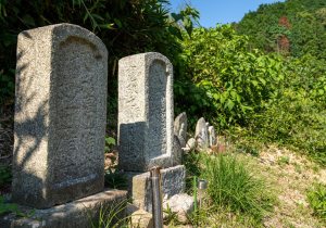 DSC08186