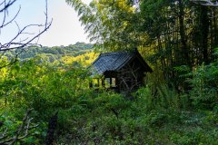DSC08191
