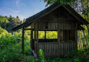 DSC08194