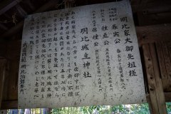 DSC08196