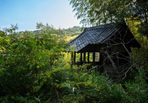 DSC08205