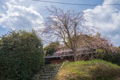 DSC02626