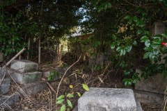DSC02645