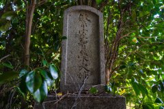 DSC02651