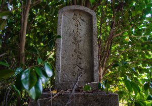 DSC02651