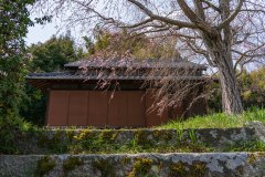 DSC02676