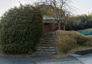 DSC07846