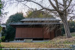 DSC07848
