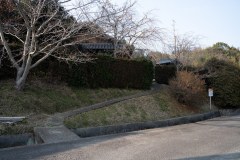 DSC07855