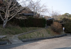 DSC07855