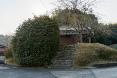 DSC07858