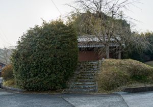 DSC07858