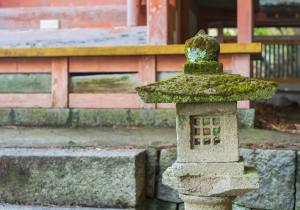 SBJ01137