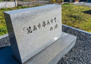 SBJ02515