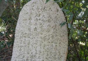 SBJ02827