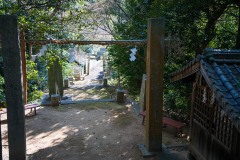 DSC06730