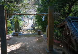 DSC06730