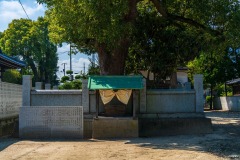 DSC00017