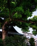 DSC00795