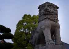 DSC00801