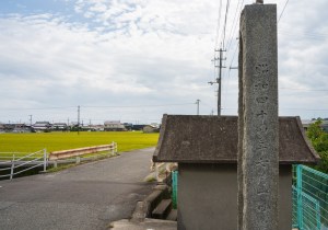 SBJ05575