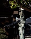 DSC09777