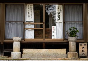 SBJ01681