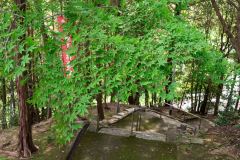 DSC01706